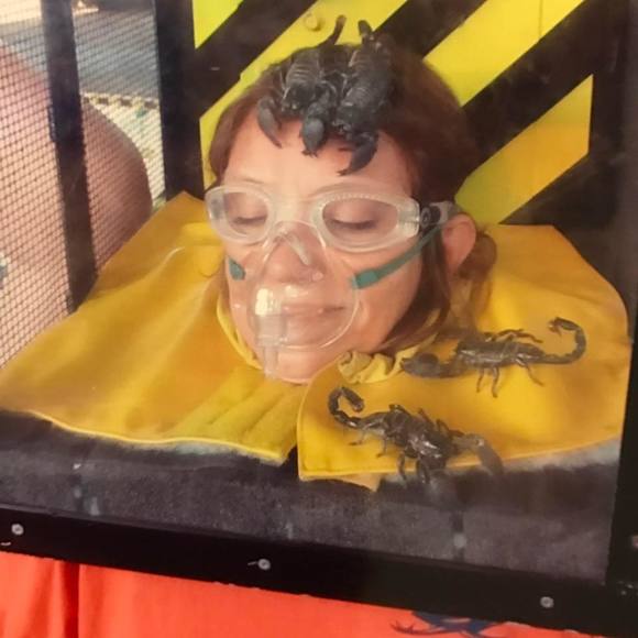 Meet your Posher, Shelley - Picture 1 of 1